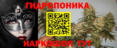 ГАЛЛЮЦИНОГЕННЫЕ ГРИБЫ Заволжье