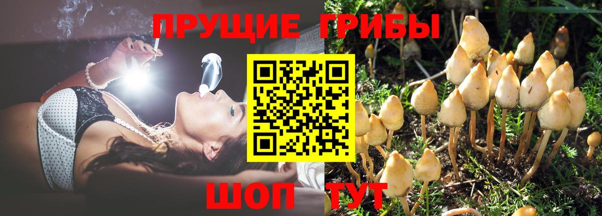 Киселёвск  ГАШ  Вход с VPN  Мефедрон   Бошки Шишки 