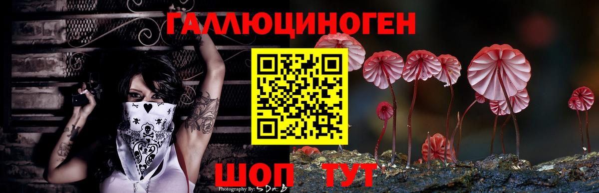 Галлюциногенные грибы мухоморы Киселёвск